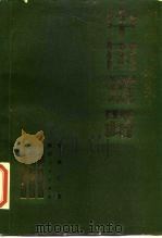 幻想与现实：中国道路  中国社会主义从空想到现实的历史发展（1986 PDF版）