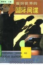 震惊世界的国际间谍（1993 PDF版）