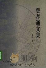费孝通文集  第11卷  1987-1989（1999 PDF版）