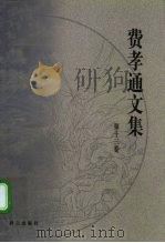 费孝通文集  第13卷  1993-1995（1999 PDF版）