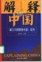 解释中国  《第三只眼睛看中国》批判（1998 PDF版）