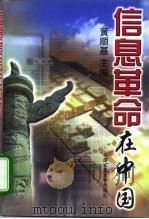 信息革命在中国（1998 PDF版）