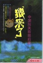 狼来了  中国闯关前前后后（1993 PDF版）