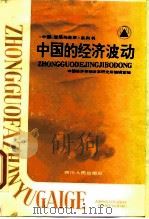 中国的经济波动（1988 PDF版）