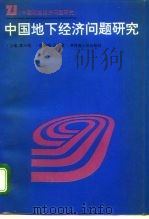 中国地下经济问题研究（1993 PDF版）