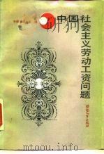 中国社会主义劳动工资问题（1989 PDF版）