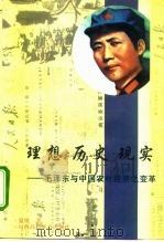 理想·历史·现实 毛泽东与中国农村经济变革 1995 PDF电子版封面 7810328034 温锐著