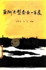 亚洲大型企业一百家 1985 PDF电子版封面 4339·3 王乐夫,马宁译编