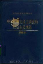 中国资本主义工商业的社会主义改造  安徽卷   1992  PDF电子版封面  7800234819  中共安徽省委党史工作委员会，中共安徽省委统一战线工作部编 