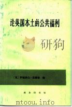论英国本土的公共福利（1989 PDF版）
