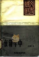在监牢中（1981 PDF版）