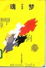 魂梦（1991 PDF版）