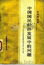 中国国民经济发展中的问题  中美“经济发展战略抉择讨论会”报告文集（1981 PDF版）