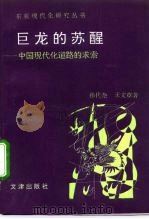 巨龙的苏醒  中国现代化道路的求索（1993 PDF版）