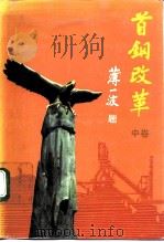 首钢改革  中（1992 PDF版）