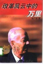 改革风云中的万里（1995 PDF版）