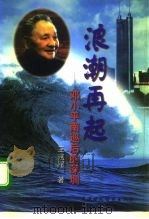 浪潮再起  邓小平南巡后的深圳（1997 PDF版）