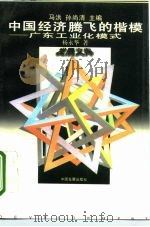 中国经济腾飞的楷模  广东工业化模式（1996 PDF版）