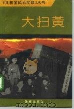 大扫黄（1993 PDF版）