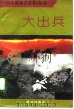大出兵 1993 PDF电子版封面 7800617114 肖云斌编