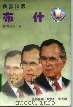 布什  角逐世界（1996 PDF版）