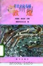 历史文化名城 敦煌 1994 PDF电子版封面 750112650X 闫国权,张克炘