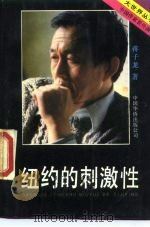 纽约的刺激性（1989 PDF版）