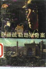 新疆疏勒劫狱奇案（1985 PDF版）