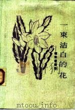 一束洁白的花  缅怀曹靖华（1988 PDF版）