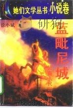 蓝毗尼城 1996 PDF电子版封面 7222019413 徐小斌著
