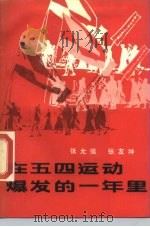 在五四运动爆发的一年里 1989 PDF电子版封面 7543002612 张允侯,张友坤著