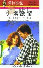 引爆激情（1995 PDF版）