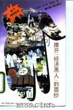 撩开经济黑人的面纱（1993 PDF版）