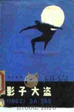 影子大盗（1988 PDF版）