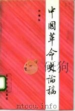 中国革命史论稿（1992 PDF版）
