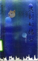 迟到的缘分（1992 PDF版）