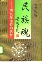 民族魂  -历代爱国诗词选析（1995 PDF版）