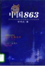 中国863 1997 PDF电子版封面 7544012824 李鸣生著