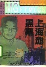 黑幕上海滩（1995 PDF版）