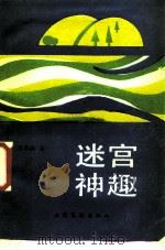 迷宫神趣（1989 PDF版）