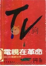 电视在革命-明日的电视世界（1979 PDF版）
