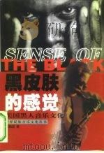 黑皮肤的感觉  美国黑人音乐文化（1999 PDF版）
