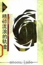 精神流浪的轨迹 大学生“读书热”现象分析 1991 PDF电子版封面 7205018293 刘翔平著