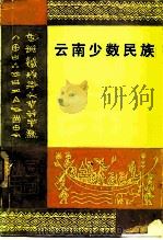 云南少数民族（1983 PDF版）