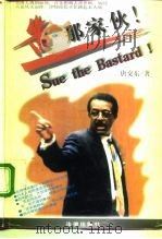 告那家伙  美国伍德西尔律师事务所记事（1996 PDF版）