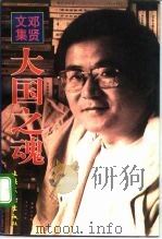 邓贤文集 第2卷 大国之魂 1997 PDF电子版封面 7503915110 邓贤著