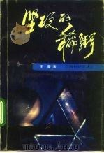 坚硬的稀粥（1992 PDF版）