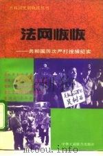 法网恢恢  共和国历次严打搜捕纪实（1994 PDF版）