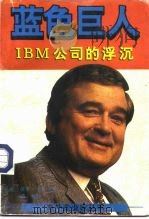 蓝色巨人 IBM公司的浮沉（1997 PDF版）