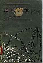 微带天线（1984 PDF版）